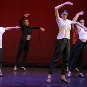 Fotografía de Talleres Baile Flamenco (galería 2) - Conservatorio de Danza